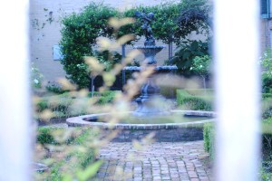 some thing new around every corner