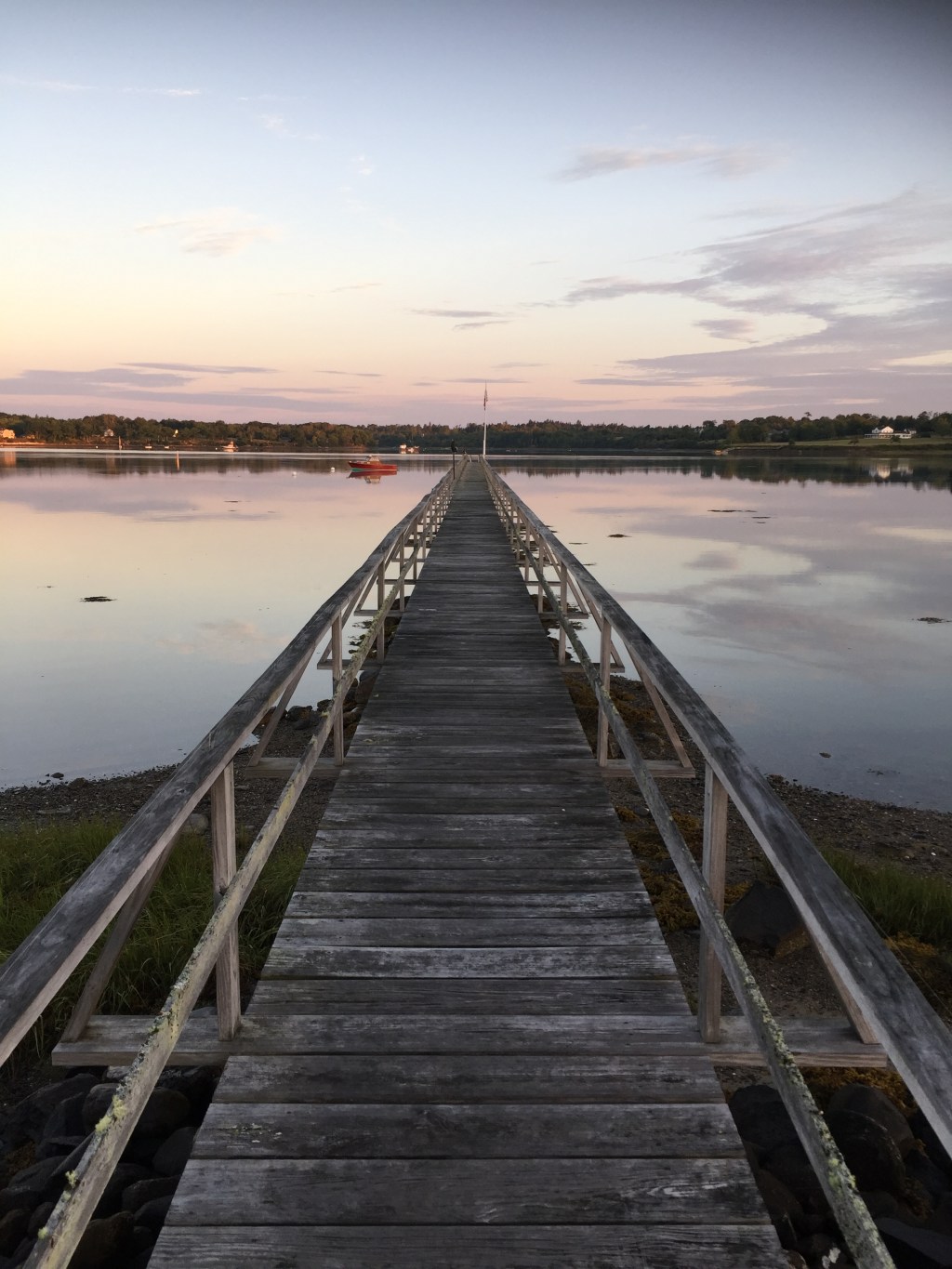 Daily Prompt: Volunteer