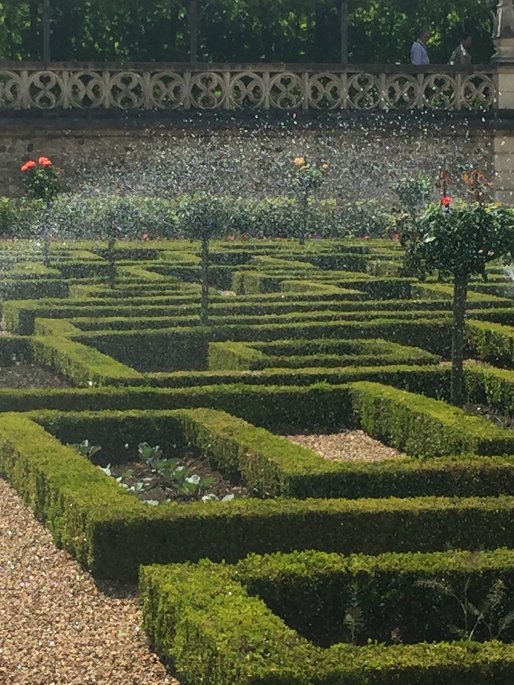 Every twentyfour hours&nbsp;7