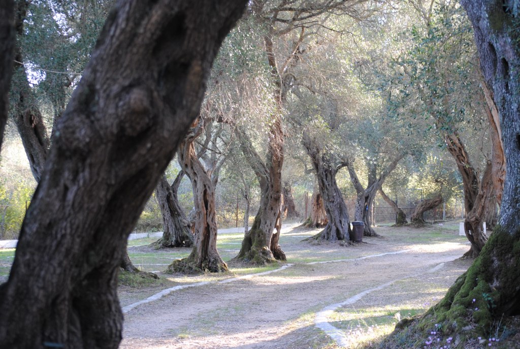 Sentinels of the&nbsp;Past