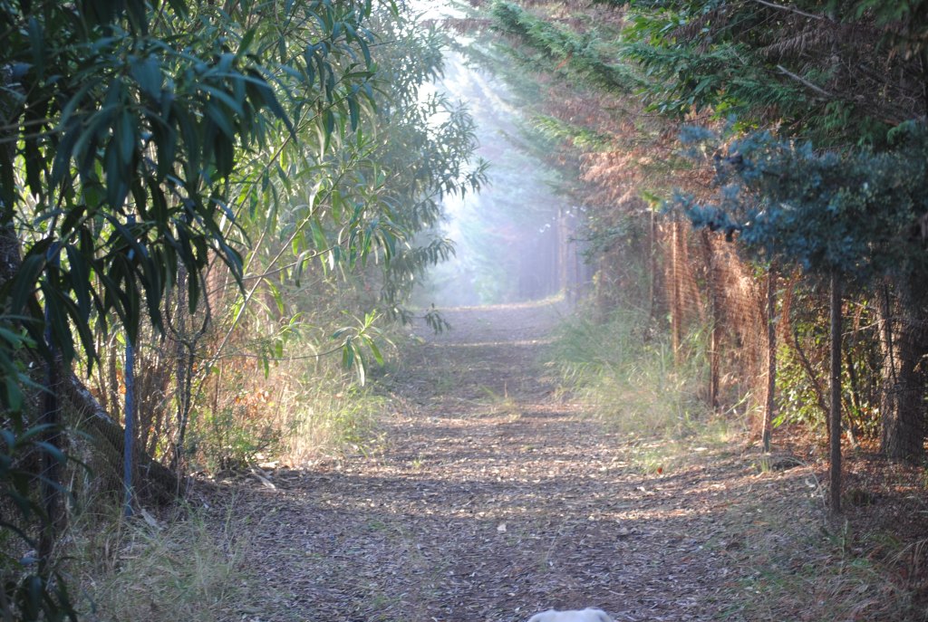 Springtime in Autumn