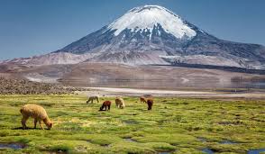 Uachtar Ard (Oughterard)