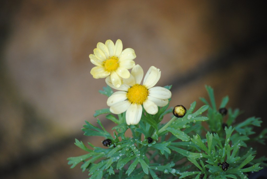 Book Quote of the&nbsp;Day